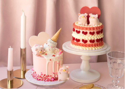 راهنمای انتخاب بهترین کیک جشن تولد
